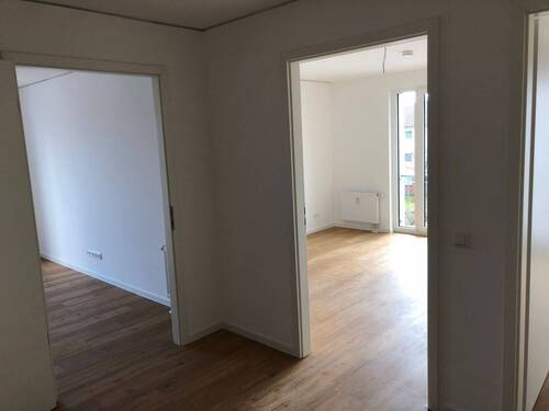 Zimmer - 