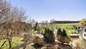 Ausblick - 