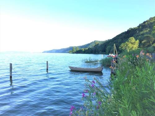 Bodensee mit Blumen.jpg - 