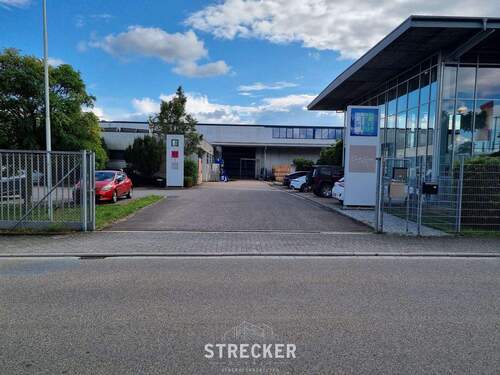 Hauptzufahrt - Halle in Bornheim zum Kaufen