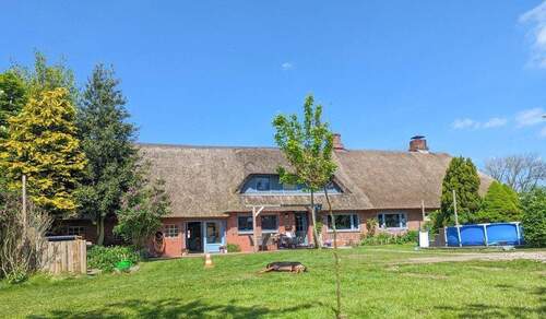 Hausansicht - Unter Reet geboren - Ein Haus mit Seele, Weite und Möglichkeiten