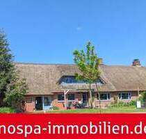 Unter Reet geboren - Ein Haus mit Seele, Weite und Möglichkeiten - Langenhorn