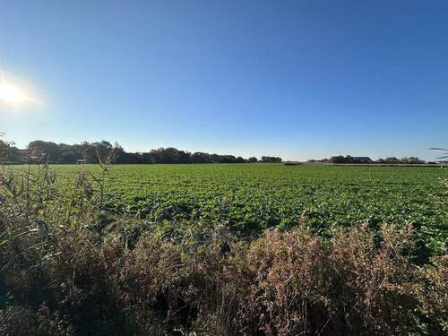Felder - 7 Zimmer Mehrfamilienhaus, Wohnhaus in Neukirchen