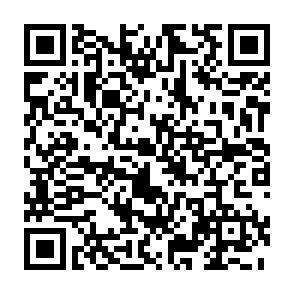 QR-Code - 