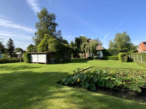 Garten mit Blick zum Haus - 