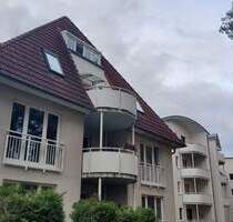 Sehr schöne großzügige 1-Zimmerwohnung mit Wintergarten in grüner und ruhiger Wohnlage zu vermieten - Dessau-Roßlau