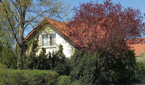 Ansicht Frühling Süd 2 - 