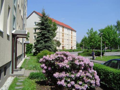 Albert-Schweitzer-Ring - 