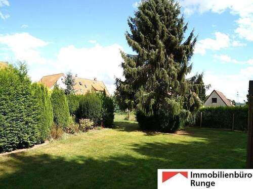 Alter Baumbestand.jpg - Einfamilienhaus mit 179,00 m&sup2; in Bad Münder am Deister zum Kaufen