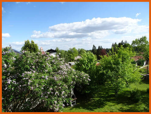Ausicht - 