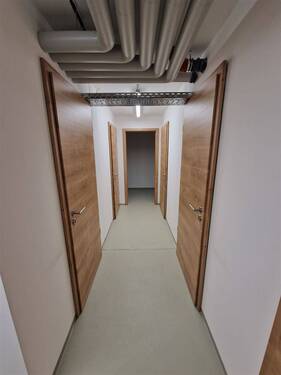 Kellerabteile - 
