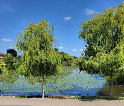 Direkter Blick auf den Mühlent - 4 Zimmer Etagenwohnung zum Kaufen in Wedel