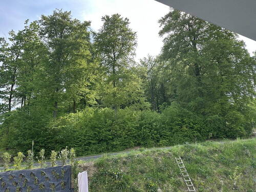 Aussicht Balkon - 