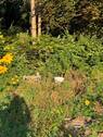 Bauwasser - 