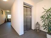 Fahrstuhl und Flur - 3 Zimmer Etagenwohnung in Sinsheim / Rohrbach