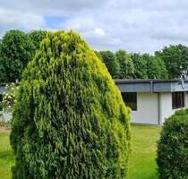 6 Zimmer Bungalow zu vermieten - 1.290,00&nbsp;EUR Kaltmiete, ca.&nbsp; 213,00&nbsp;m&sup2;&nbsp;Wohnfl&auml;che in Dägeling (PLZ: 25578)