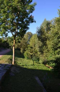 DSC_0120 - 2 Zimmer Etagenwohnung zur Miete in Niedereschach