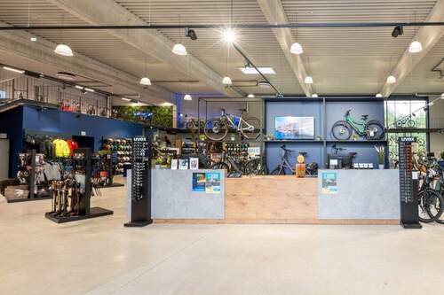 großzügiger Empfangsbereich - Halle in Schloß Holte-Stukenbrock zum Kaufen