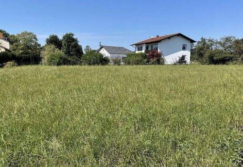 Grundstück Bild 2.jpg - Tolles Baugrundstück mit 1105 m² für ein Einfamilienhaus, Doppelhaushälfte oder Dreispänner in Winhöring