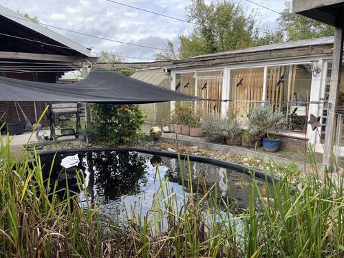 FIschteich - 