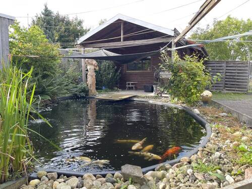Gartenhaus mit Fischteich - 