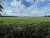Ausblick vom Garten - 