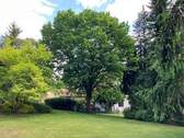 Parkähnliches Grundstück - 