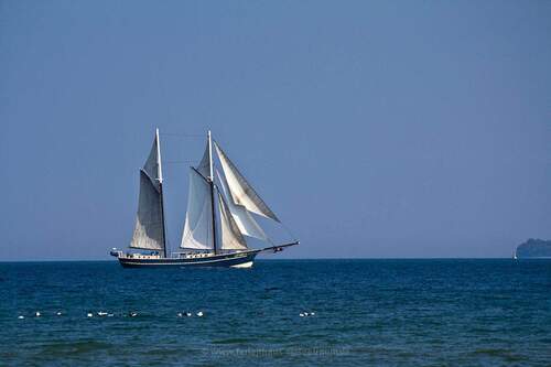 Blick aufs offene Meer - 