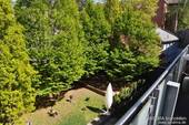 Terrassenblick nach unten - 3 Zimmer Etagenwohnung in Nürnberg
