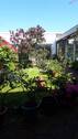 Garten 3 - 