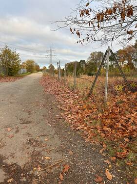 IMG_6753 2.JPG - Top Angebot Harksheider weg landwirtschaftliche Fläche