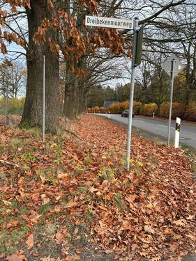 IMG_6755.JPG - Grundstück zum Kaufen in Quickborn