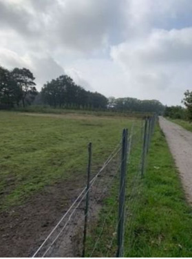 Bildschirmfoto 2024-04-04 um 09.45.25.png - Grundstück in Quickborn zum Kaufen