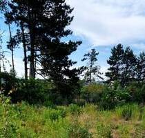 Ein Grundstück, zwei Möglichkeiten - ideal für Ihr Doppelhaus-Projekt - Naunhof