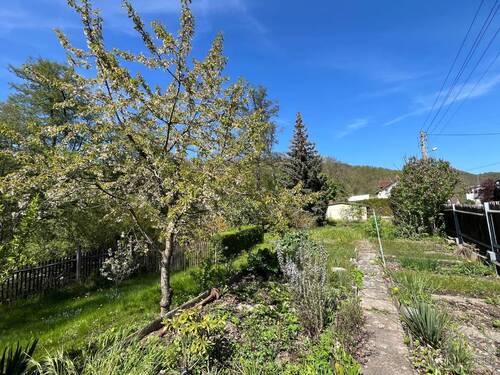 Garten gegenüber des Hauses - 