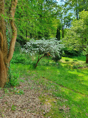 20230513_155531.jpg - Grundstück zum Kaufen in Berlin
