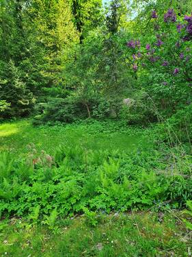 20230513_155608.jpg - 