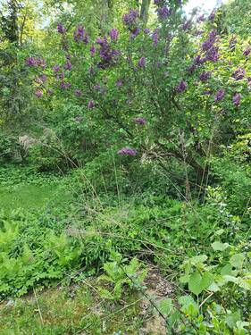 20230513_155611.jpg - 