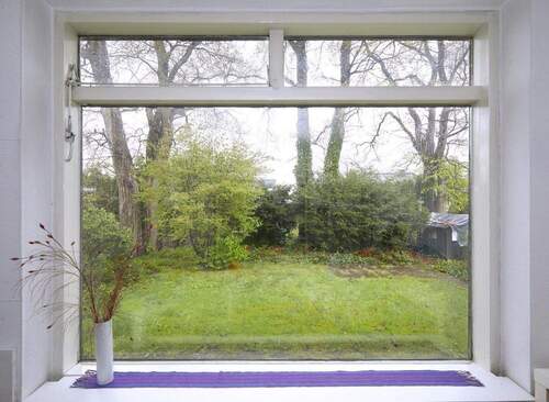 Blick in den Hintergarten - 