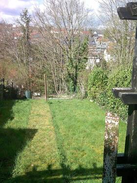 DSCF0005.JPG - 