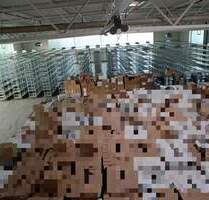 Lagerhalle Darmstadt Nord-West - 7.854,00 EUR Kaltmiete, in Darmstadt (PLZ: 64293)