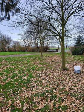 Blick zur Zufahrt - Grundstück zum Kaufen in Berne