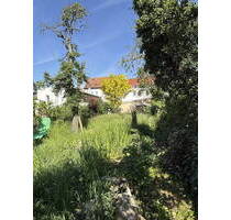 Moderne 3-Zimmer-Wohnung in Apolda - Erstbezug, Terrasse, Garten, Innenstadtlage