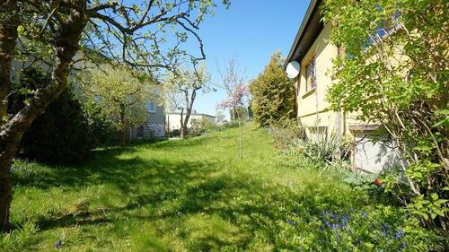 Garten hinter dem Haus - 