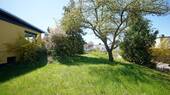 Garten seitlich am Haus - 