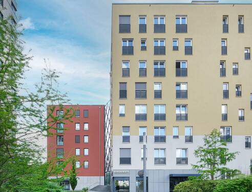Bild 11 - 