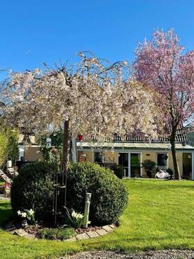 Blick auf Haus aus dem Garten - 