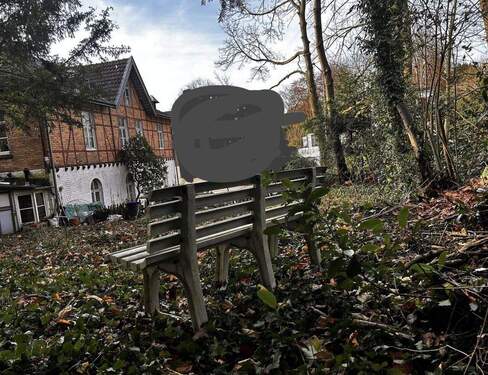 Blick aus dem Garten - 