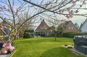 Blühender Gartenareal - 