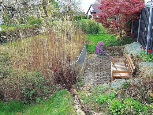 Sitzbank vor dem Teich - 